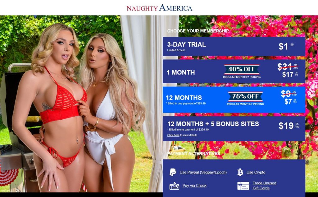 naughty america discount